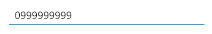 _images/text_input1.png