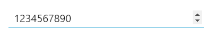 _images/text_input6.png